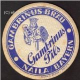 nailagambrinus (9).jpg